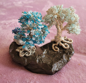 3 bonsai trees on flat rock