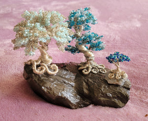 3 bonsai trees on flat rock