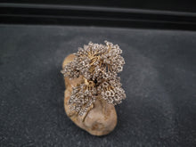 Load image into Gallery viewer, Gold and silver Bonsai tree
