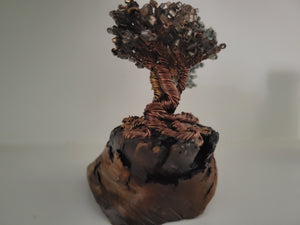 2 bonsai trees with blue and gold on wood