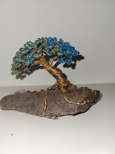 Blue and green bonsai