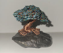 Load image into Gallery viewer, Green and Teal Bonsai
