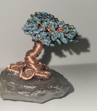 Load image into Gallery viewer, Green and Teal Bonsai
