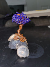 Load image into Gallery viewer, Blue beaded bonsai on shells
