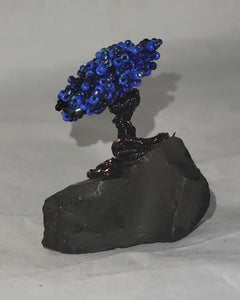 Black and blue bonsai tree