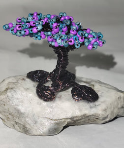 Blue and purple bonsai tree