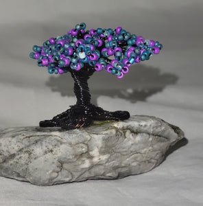 Blue and purple bonsai tree