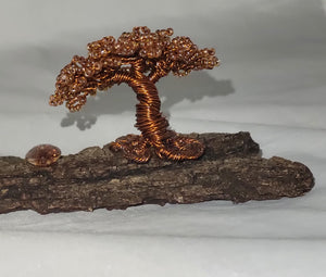 Handmade healing Bonsai tree