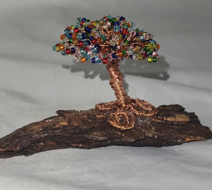 Multicolor bonsai on bark